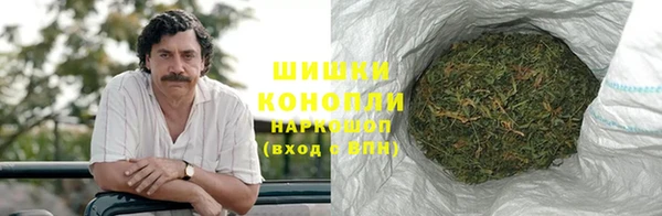 spice Арсеньев