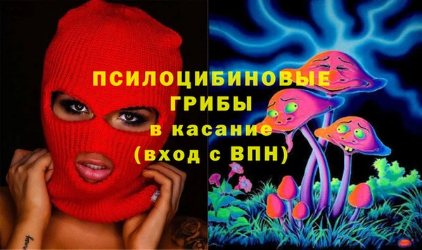 дурь Аркадак