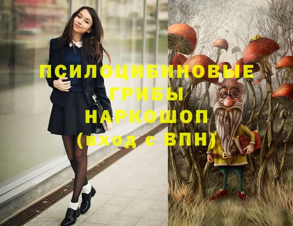 spice Арсеньев