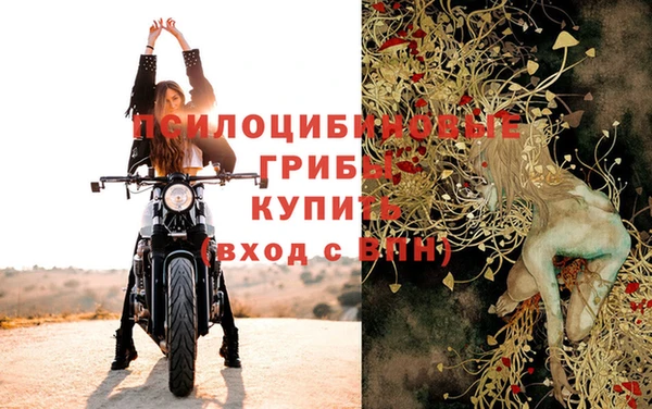 дурь Аркадак